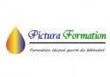 LOGO PICTURA FORMATION